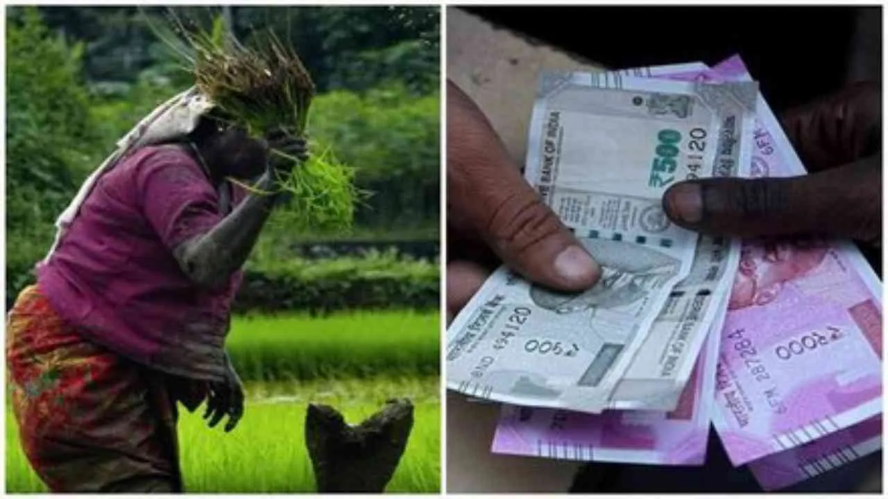 Farmers Money