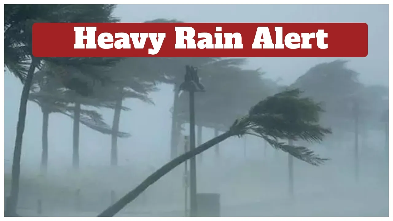 Heavy Rain Alert