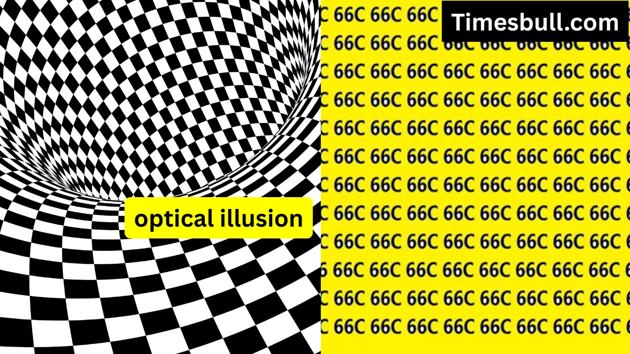 Optical Illusion (3)