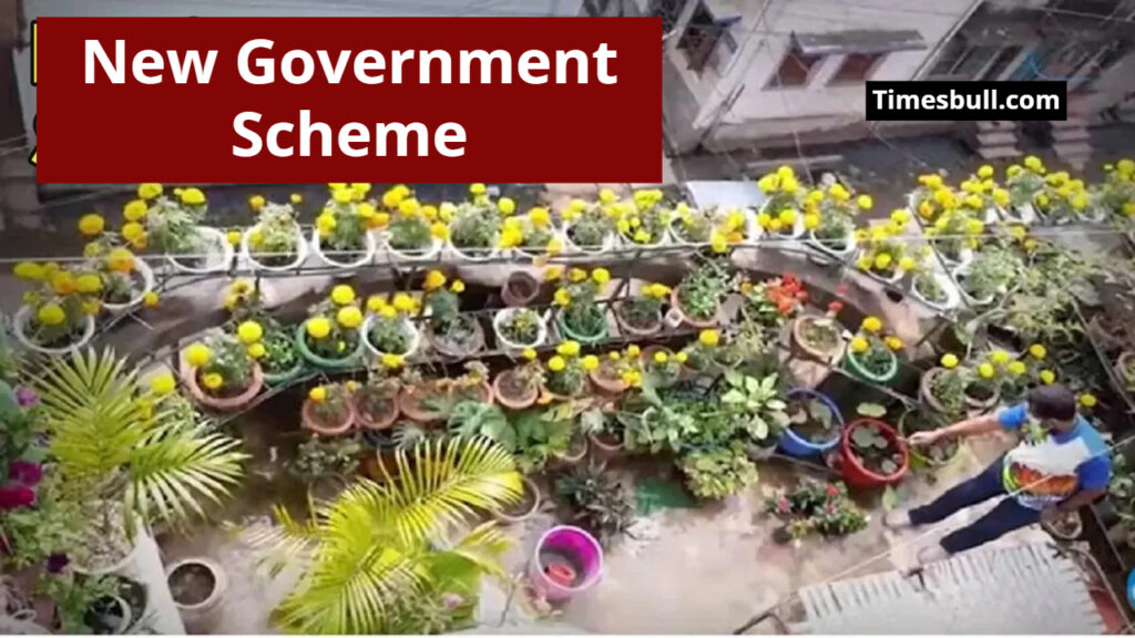 rooftop gardening scheme