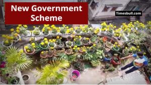 rooftop gardening scheme