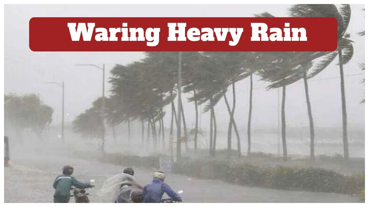 Weather