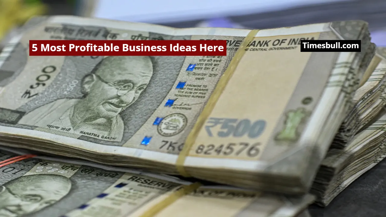 5 Most Profitable Business Ideas Here