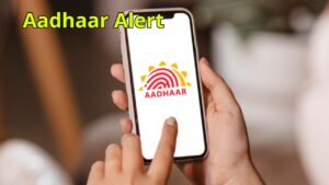Aadhaar Card Identification 2026: Check Fake or Real Aadhaar in 2 Minutes in Business category