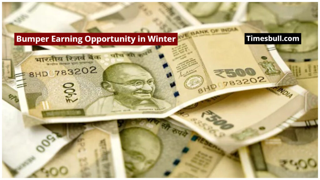A Bumper Earning Opportunity in Winter, Start This Amazing Business from Home