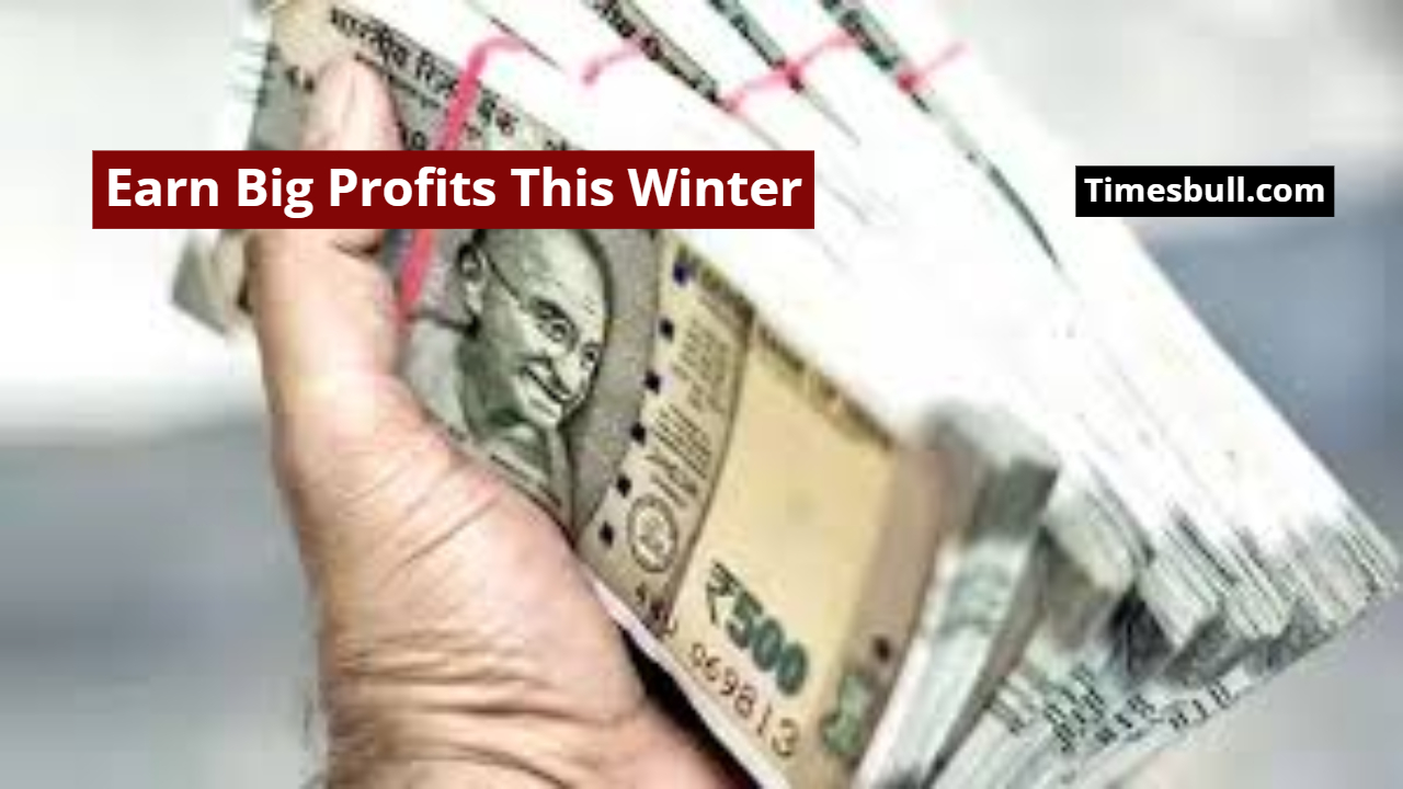 Business Idea: Earn Big Profits...