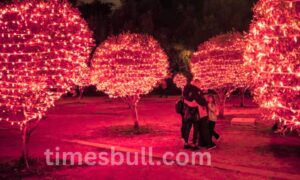 Christmas 2025: Top 7 gadgets to give as gifts see all details