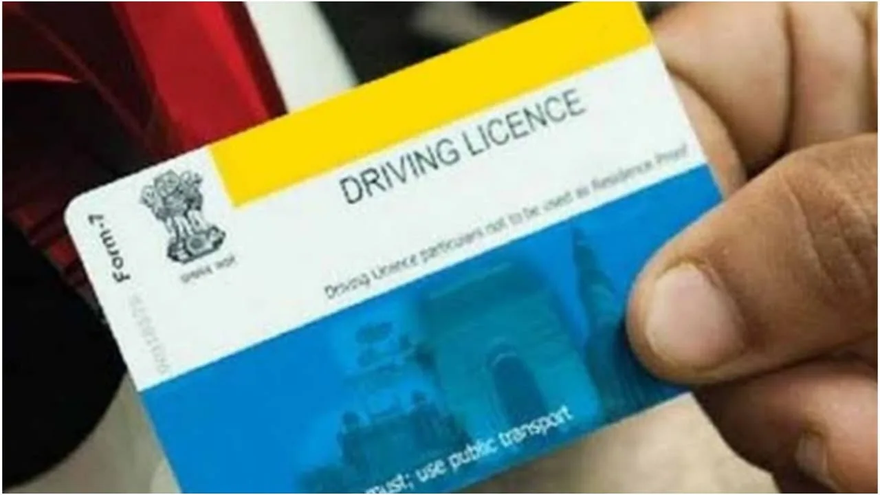 Driving Licence Application: Easy