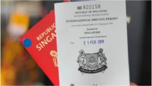 Driving Licence in India & International Driving Permit: Complete Application Process and Fees Explained