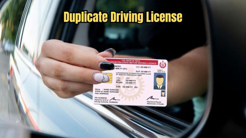 Duplicate Driving License: Lost Your License? Know the Fastest Ways and Costs to Get It