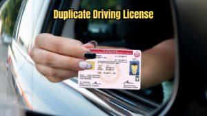 Duplicate Driving License- Lost Your DL? Learn the New Online Method to Get a Replacement