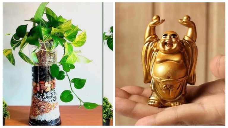 Feng Shui for Career Growth