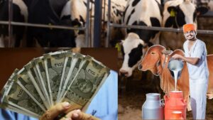 Government Offering Rs 42 Lakh Loan for Animal Husbandry – Learn How to Apply