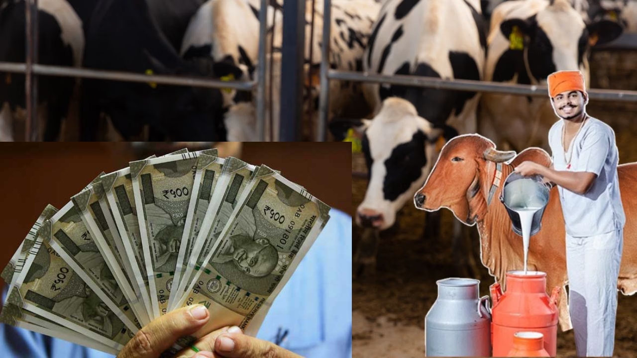 Government Offering Rs 42 Lakh...