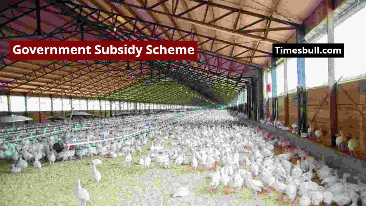 Earn Millions by Poultry Farming,...