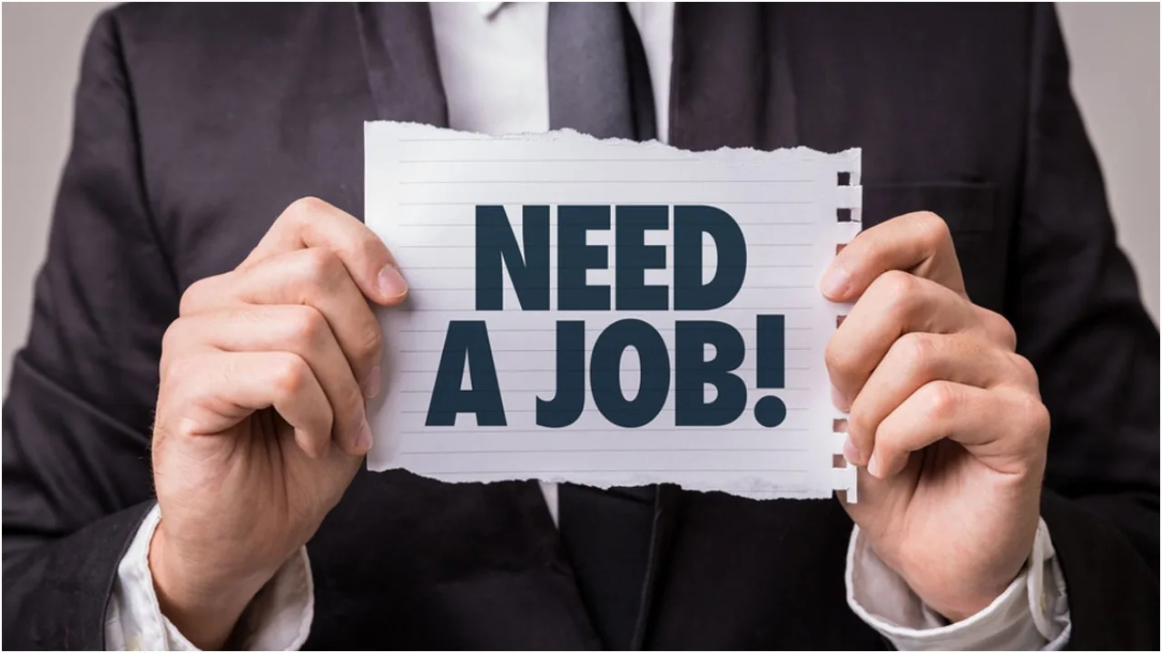 Government Job