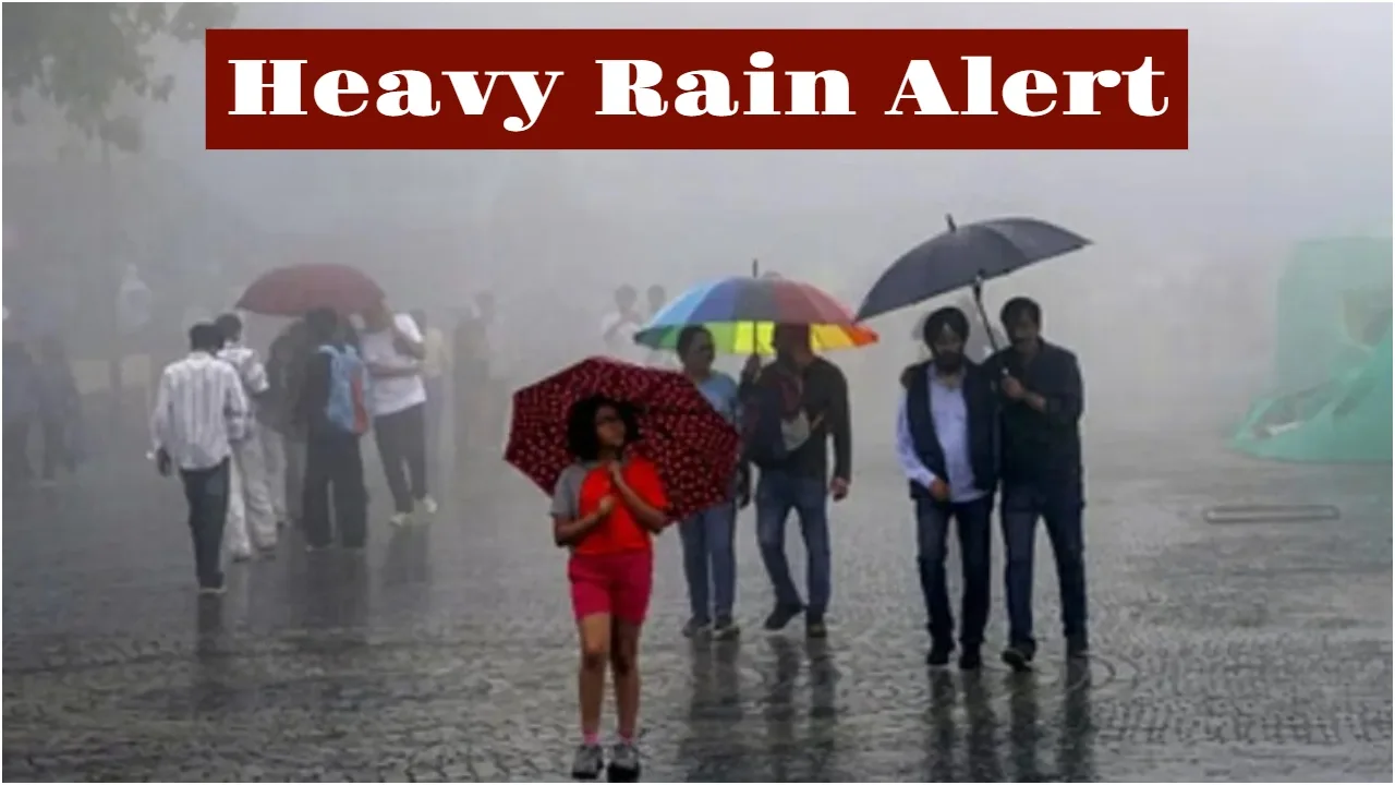 Monsoon Update – Dark