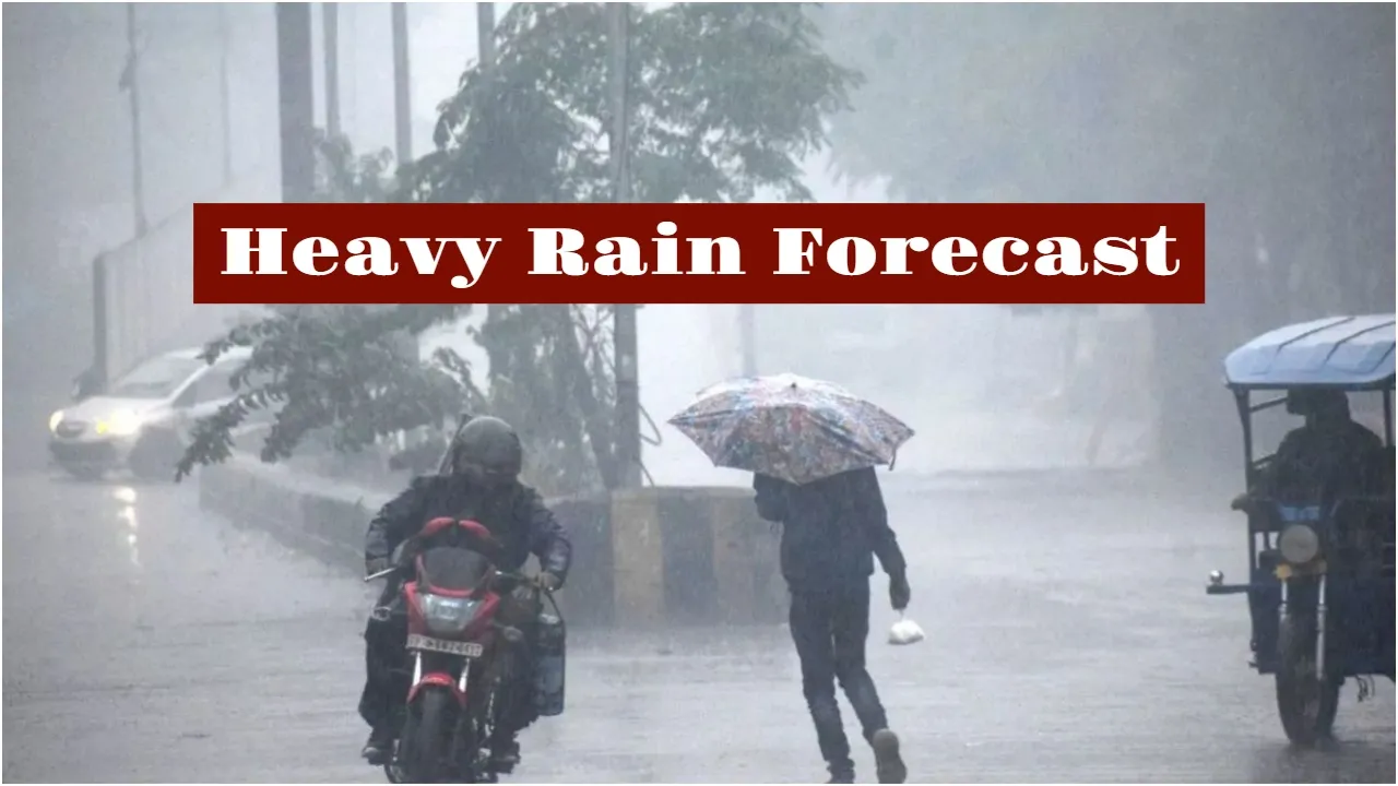 Heavy Rain Alert