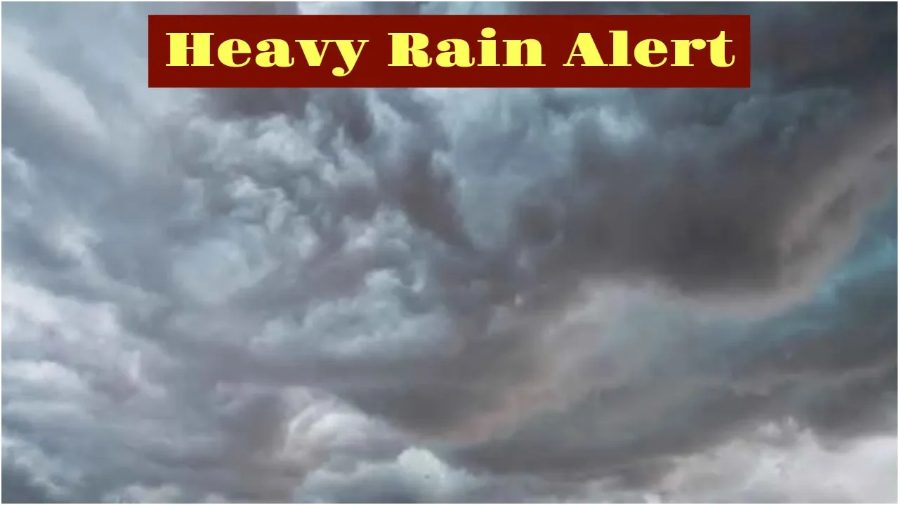 Heavy Rain Alert