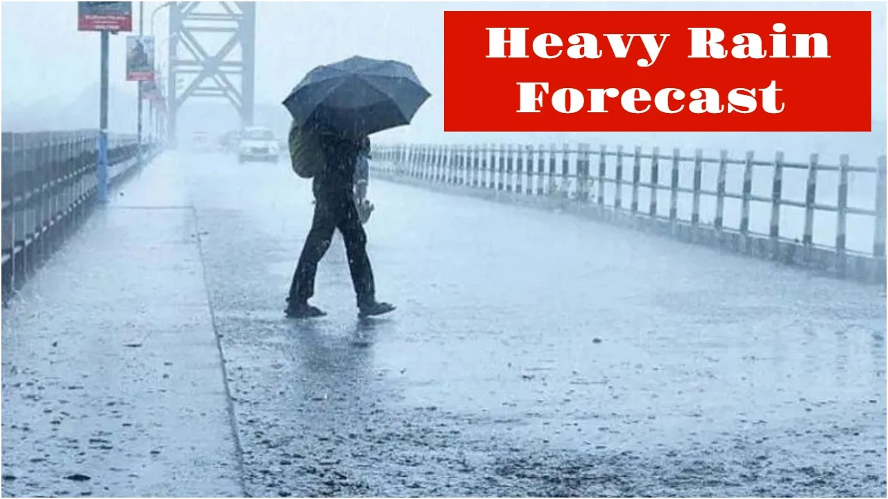 Heavy Rain Forecast