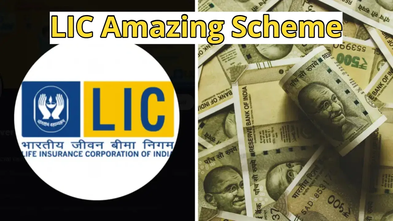 Investing Just ₹45 a Day Can Make You a Millionaire, LIC Amazing Scheme 2 LIC Amazing Scheme