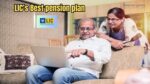LIC pension plan