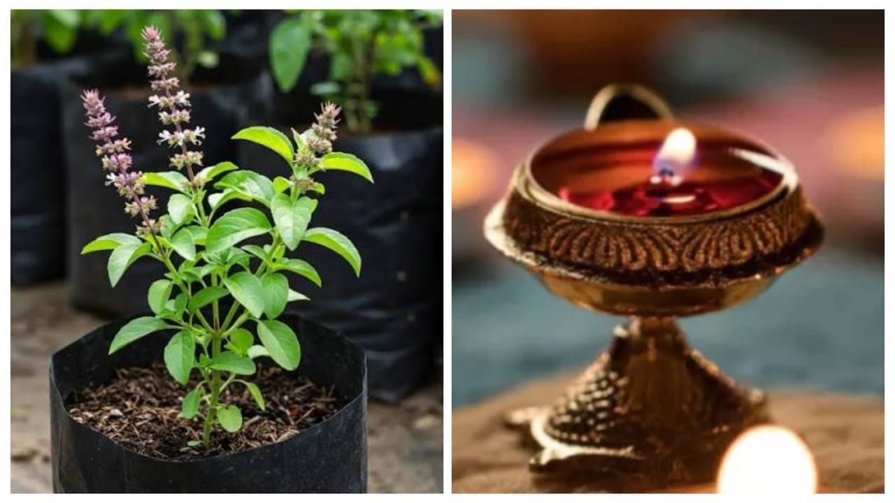 New Year Preparations –