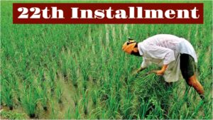 Bihar Budget 2026: ₹9,000 Annual Aid Announced for 73 Lakh Farmers in Business category