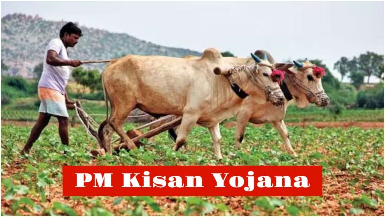 PM Kisan Yojana
