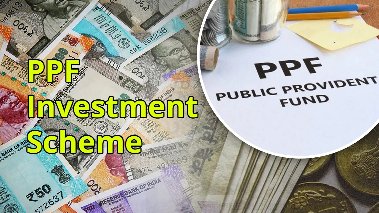 How Much Return will Get...