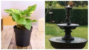 Vastu Prosperity Tips – Keep These Items in the Right Direction to Attract Wealth and Growth