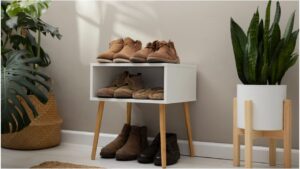 Vastu Shoe Rules – 5 Footwear Mistakes to Avoid in the New Year for Prosperity