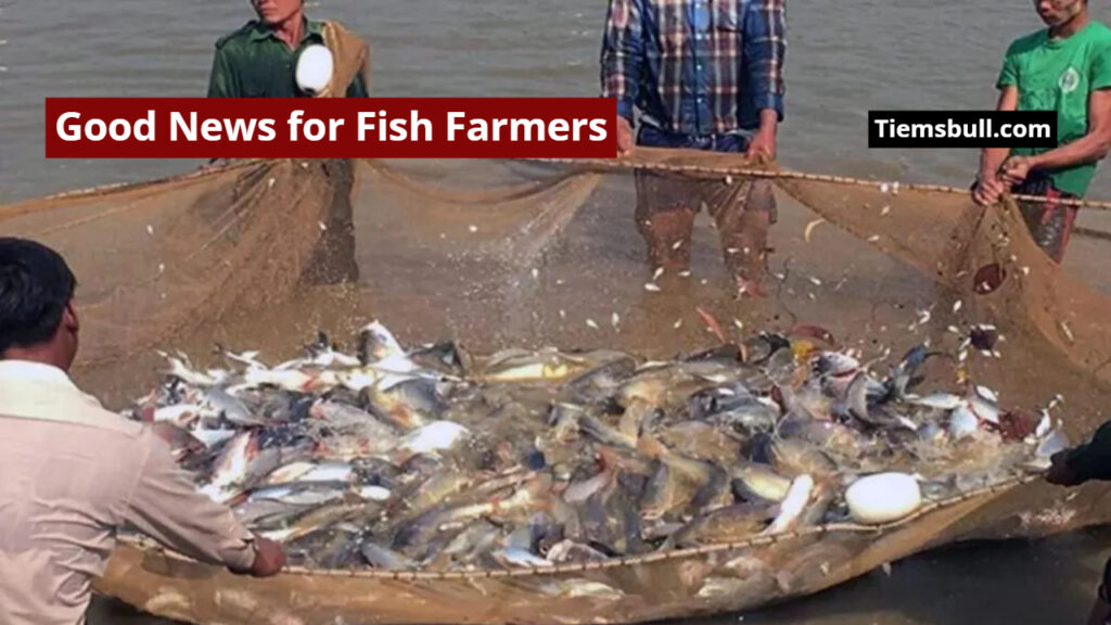 Women Fish Farming Scheme
