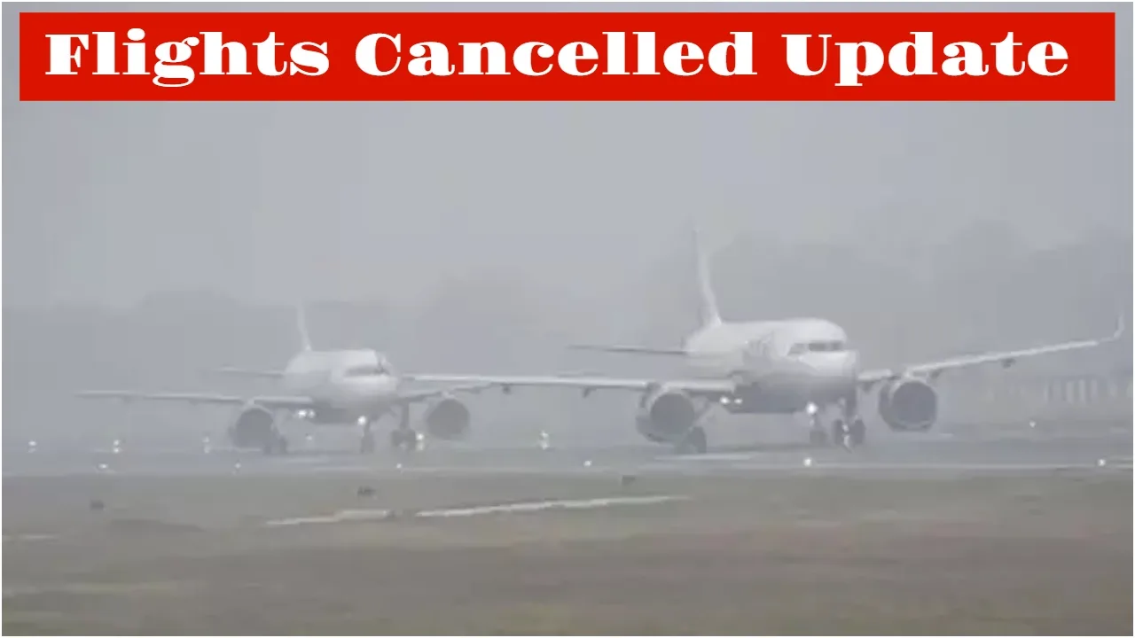 Dense fog blankets Delhi,