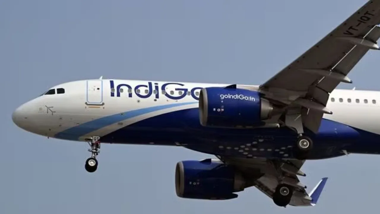 Indigo