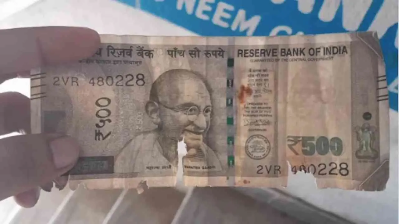 Torn Money