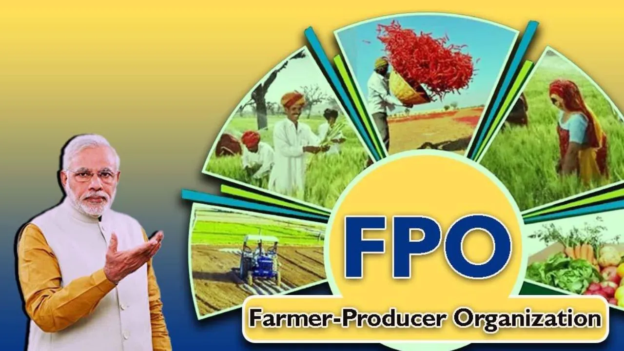 Fpo 2026 Update