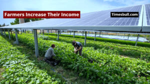 Farmers Increase Their Income