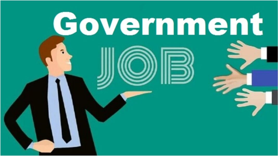 Government Job