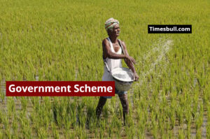 Government Scheme