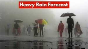 Monsoon Update – 5 States to Witness Thunderstorms and Heavy Rainfall, Check Forecast