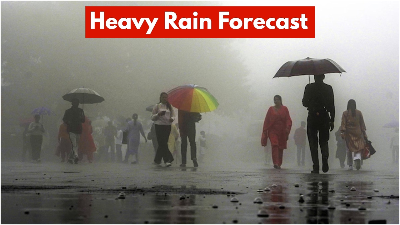 Heavy Rain Forecast