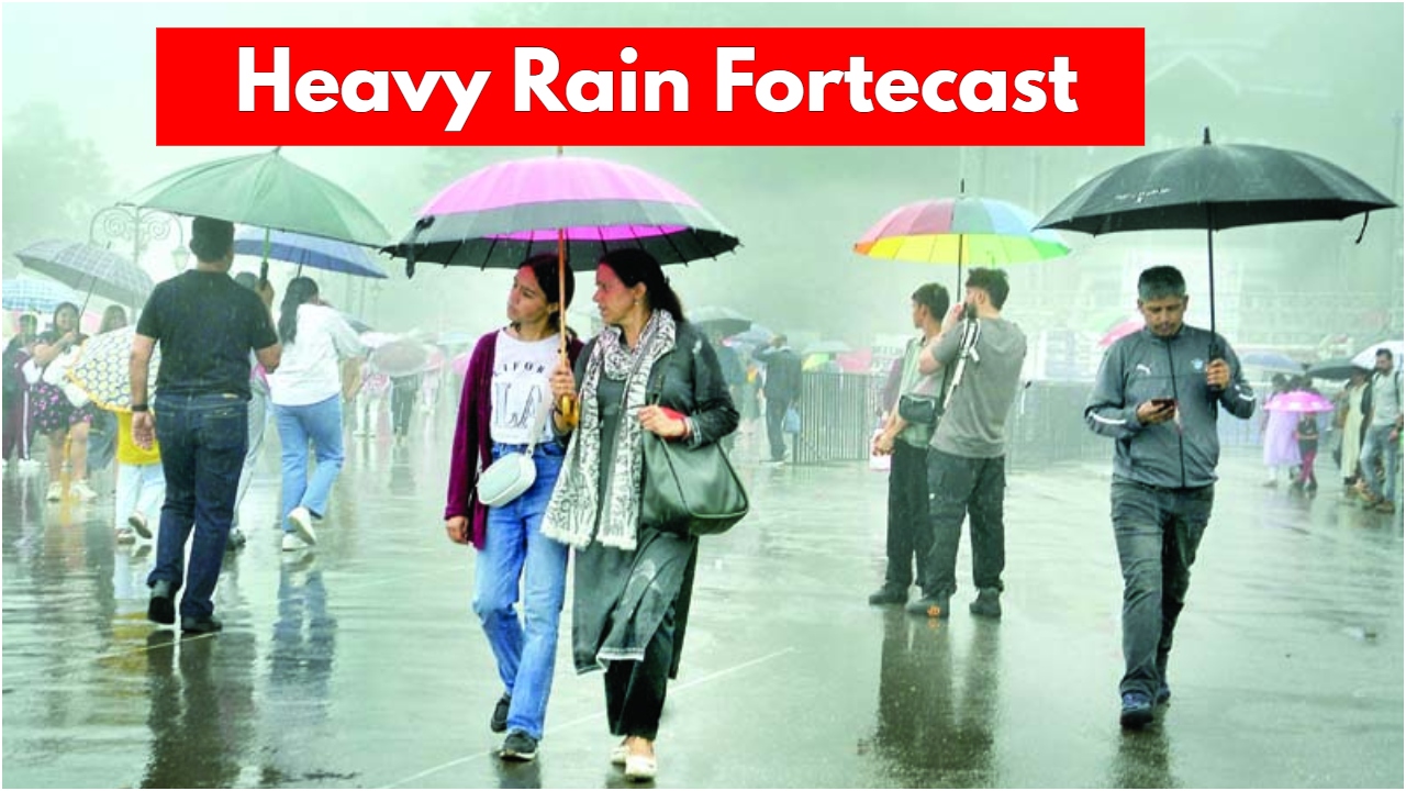 Heavy Rain Forecast