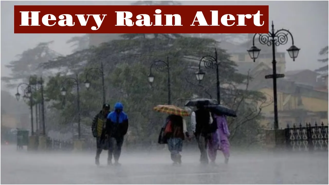 Heavy rain alert