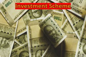 Investment Scheme