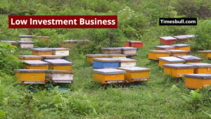 Low Investment Business Idea