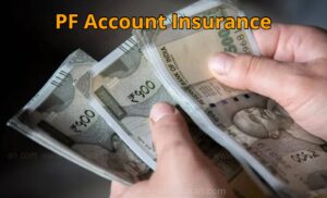 PF Account Provides Free Life Insurance, Know How Much Coverage You Get