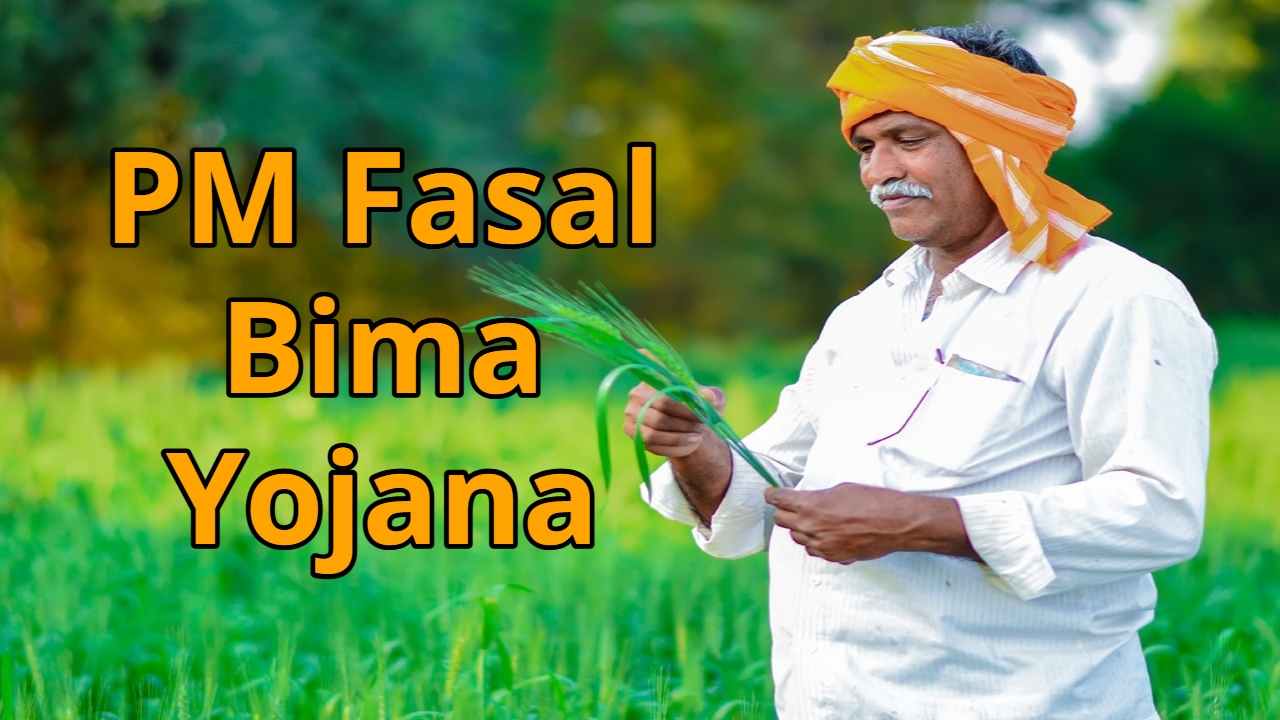 Crops Ruined by Frost and...