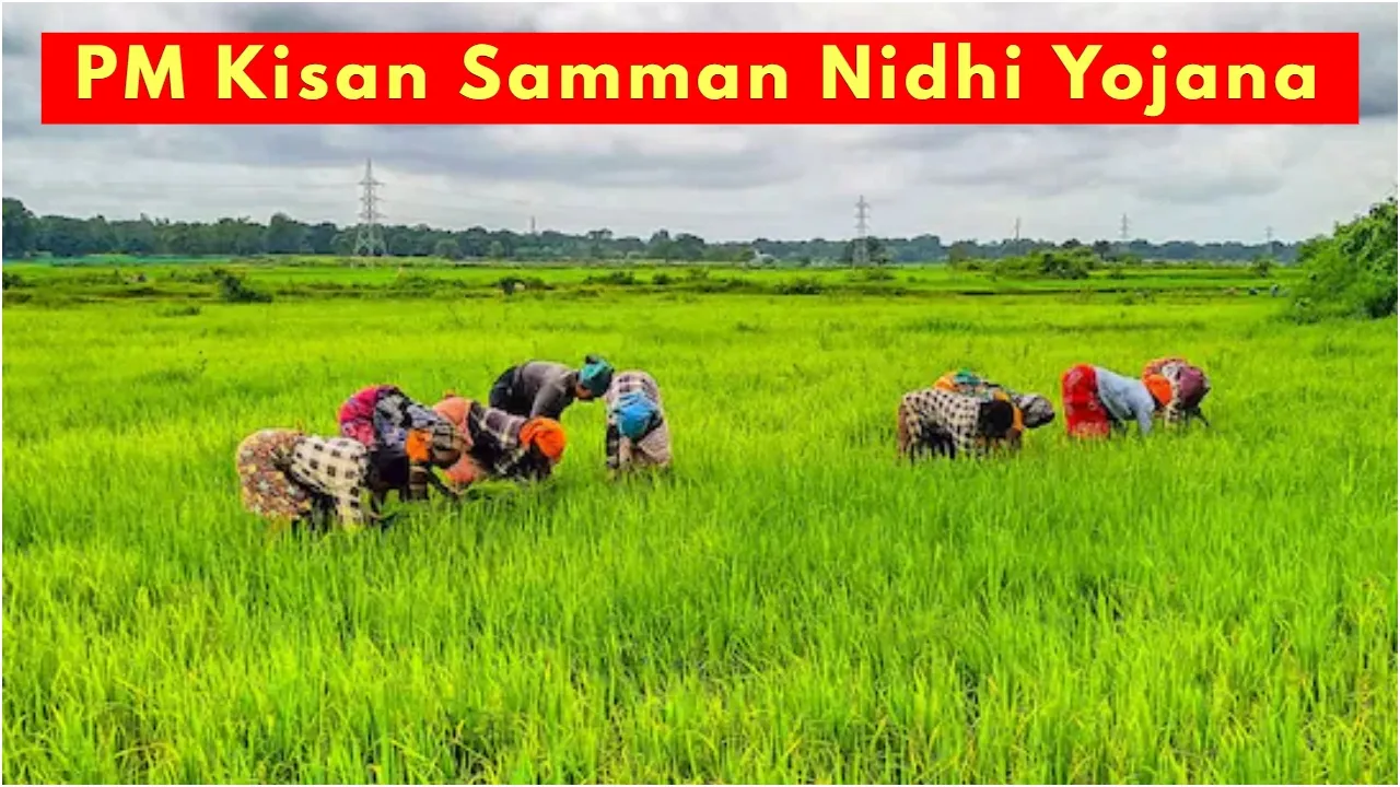PM Kisan Yojana