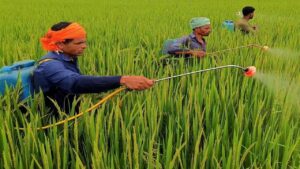 Good News for Farmers – Get 55% Subsidy Under This Scheme – Here How to Apply